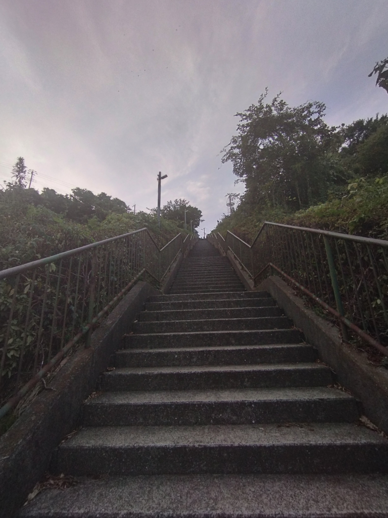 Freelance Journey in Japan: How to Have a Thrilling Adventure